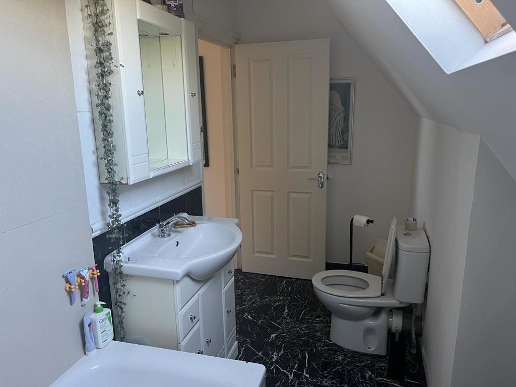 2 Bedroom Top Floor Flat, West Dulwich Free Street Parking London Bagian luar foto
